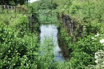 old canal Lisburn