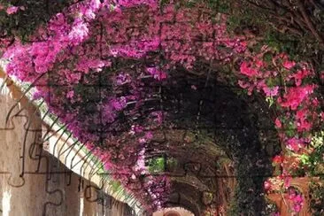 tunel de flores