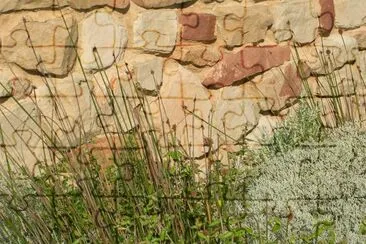 Grass textures, Australia