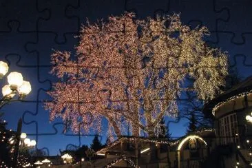 Trees decked for Christmas, Sweden