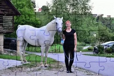 Lipizzaner |  Slovenia | Tea StiploÅ¡ek