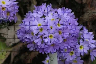 פאזל של Blue and yellow flowers, Bhutan