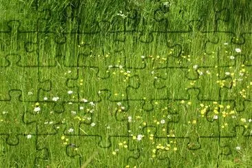 פאזל של Wildflowers in the meadow, Gotland, Sweden