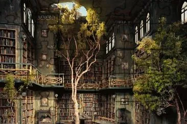 library, tree