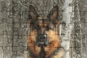 GSD