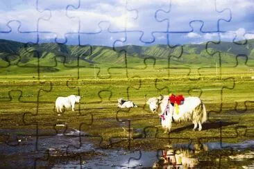 é’æµ·æ¹–è§’æ™¯ jigsaw puzzle