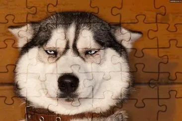 é€—è¶£å‹•ç‰© jigsaw puzzle