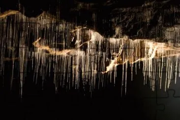 Waitomo Caves