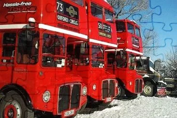 London Buses in New Zealand