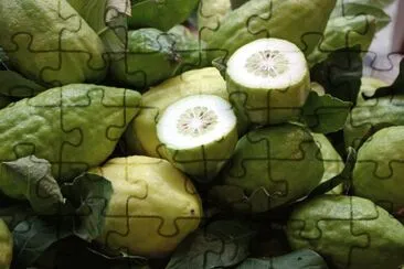 cedro