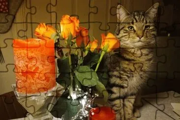 Cat and flowers