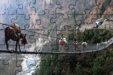 Himalayan Hanging Bridge