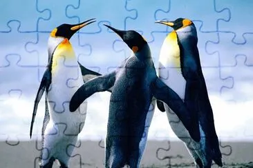 PingÃ¼inos