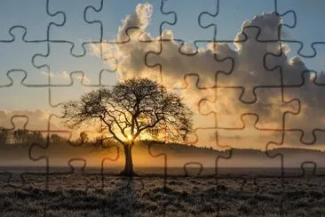 Por do Sol jigsaw puzzle