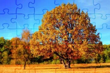 Olmo jigsaw puzzle