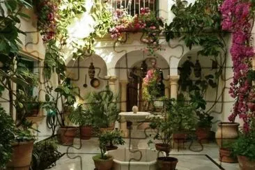 Patio Andaluz 2