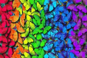 Colorful Butterflies jigsaw puzzle