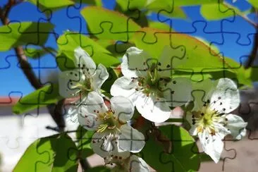 Flores y plantas encontradas en el camino jigsaw puzzle