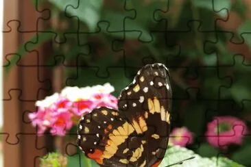 Lantana y mariposa jigsaw puzzle