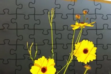 Cosmos jigsaw puzzle