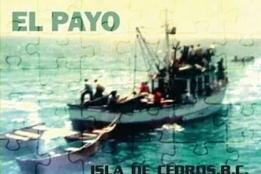 El Payo, isla de Cedros BC