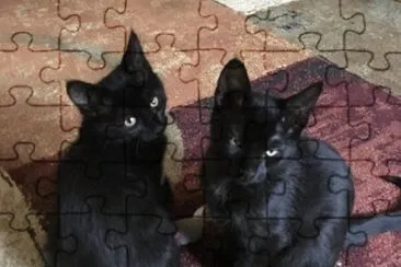 Reggie and Mitch jigsaw puzzle