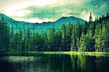 bosque jigsaw puzzle