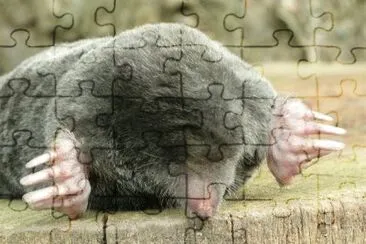 OK jigsaw puzzle