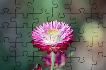 OK jigsaw puzzle