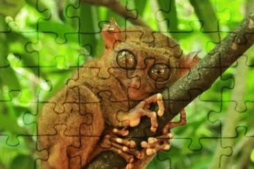 OK jigsaw puzzle