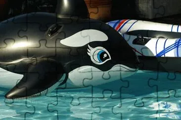 orca