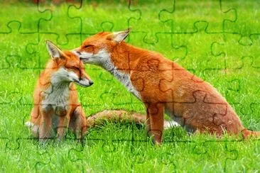 Foto jigsaw puzzle