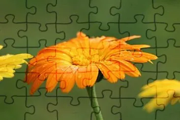 Toy jigsaw puzzle