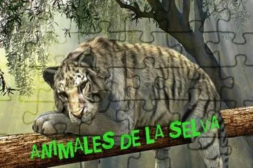 פאזל של animales de la selva