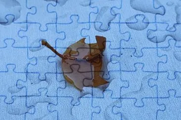 fundstÃ¼ck jigsaw puzzle