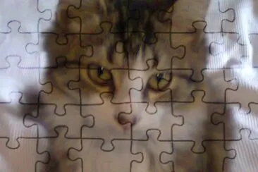 mis amigos mascotas jigsaw puzzle