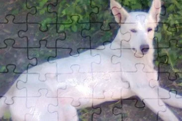 mis amigos mascotas jigsaw puzzle