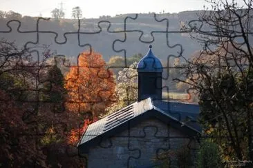 Autumn trees and rooftop