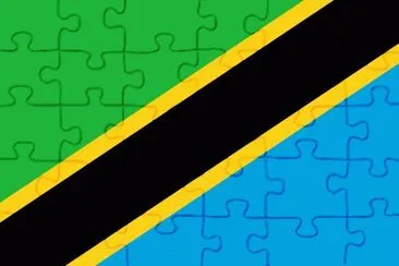 Tanzania Flag