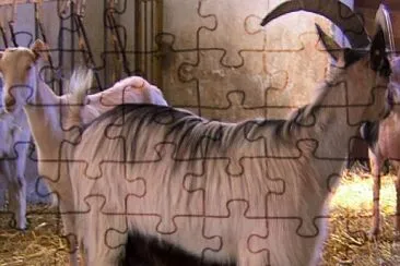 Roccaverano jigsaw puzzle