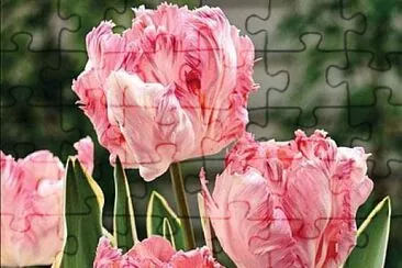 imagem jigsaw puzzle