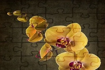 Orquidea - Amarela jigsaw puzzle