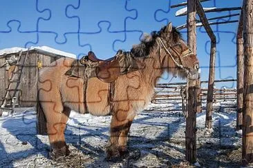 Yakutian jigsaw puzzle