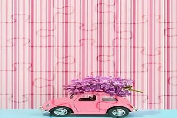 Fusca Rosa jigsaw puzzle