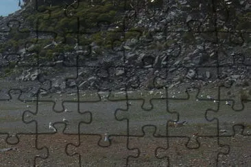 I.PALMARIA jigsaw puzzle