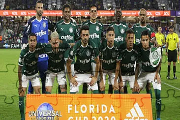 Palmeiras FlÃ³rida