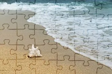 vzla jigsaw puzzle