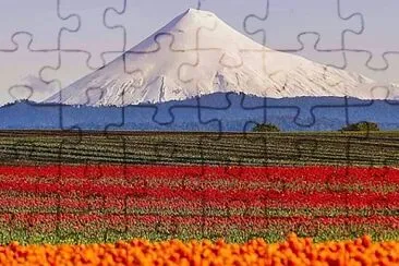 imagem jigsaw puzzle