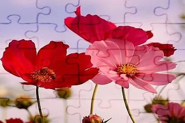 flores jigsaw puzzle