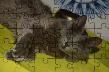 Sununu jigsaw puzzle